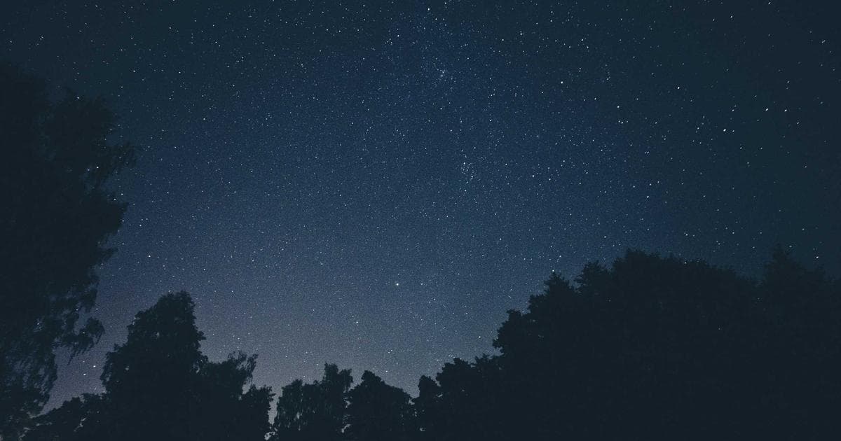 AI · AI时代谁更受关注？大语言模型在学术写作中的采用模式与引用结果