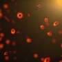 Tiny ancient black holes may live in a five-dimensional world 相关头图