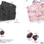 What a dry meteorite tells us about water on Mars 相关头图