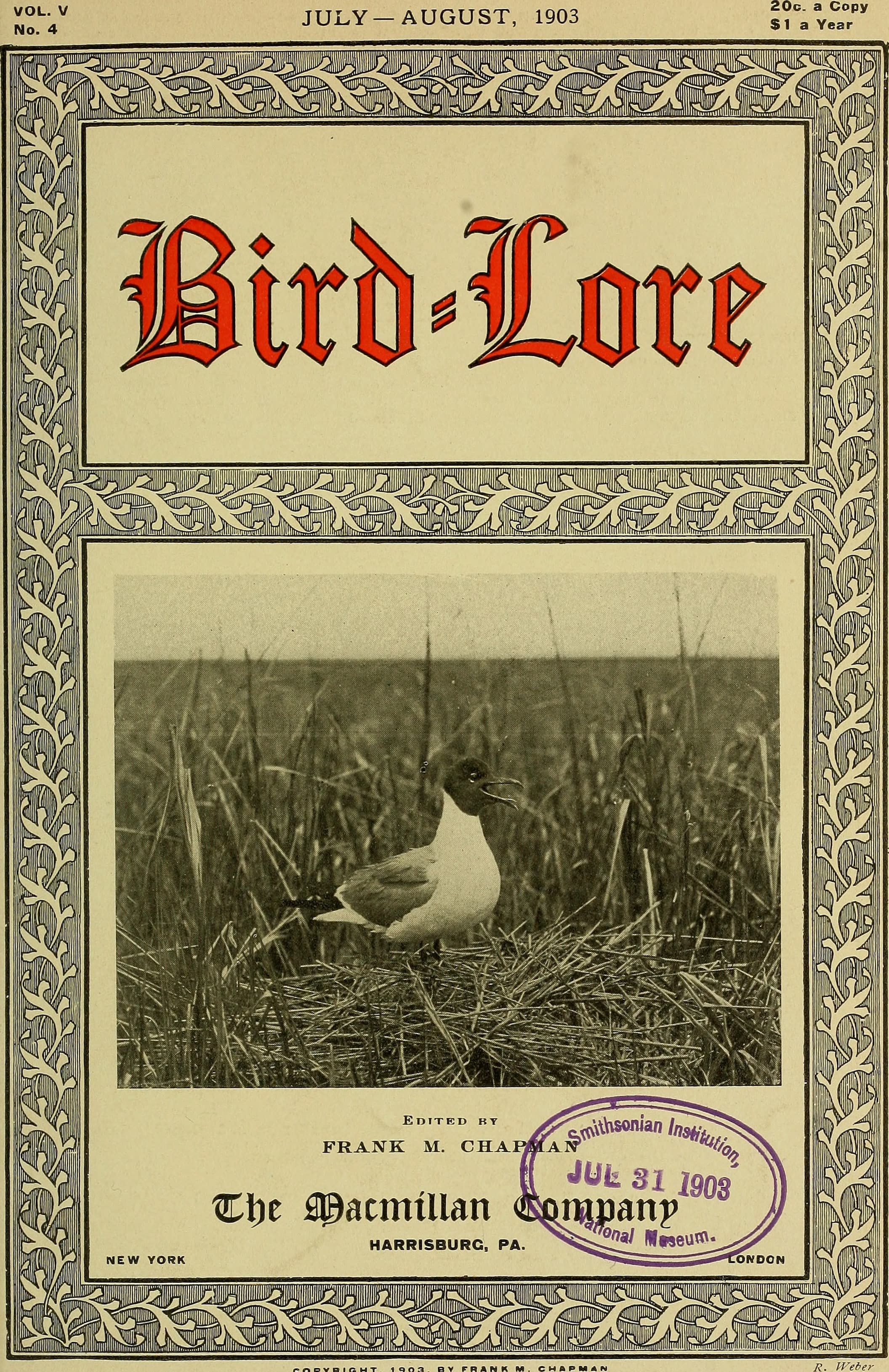 Lore 版本控制系统的架构示意图，展示内容寻址存储和分支操作