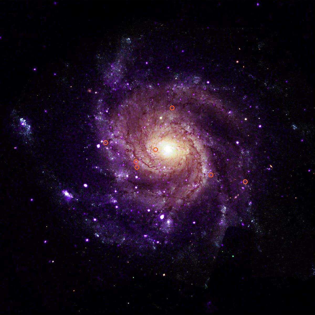 宇宙探索 · 钱德拉望远镜发现神秘X射线天体群,或为新型致密天体